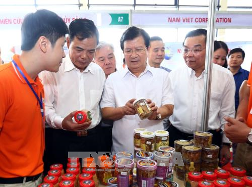 政府副总理郑廷勇参观2017年越南查鱼和水产品展 ảnh 1