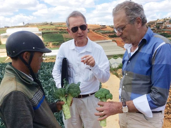 荷兰高级专家组织：荷兰专家愿赴越分享可持续发展经验 ảnh 1