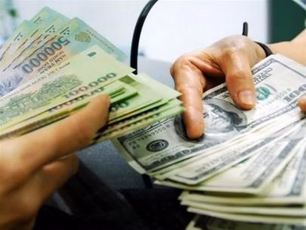 10月2日越盾兑换美元中心汇率下降2越盾 ảnh 1