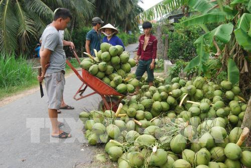 越南槟椥省的主要商品出口额保持良好增长势头 ảnh 3 越南槟椥省的主要商品出口额保持良好增长势头 ảnh 3