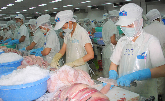 越南虾鱼类对美出口额有所下降 ảnh 1 越南虾鱼类对美出口额有所下降 ảnh 1