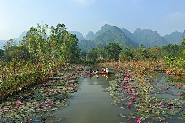 越南香寺秋色 ảnh 1 越南香寺秋色 ảnh 1