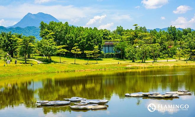 2017年森林艺术节开幕 多国艺术家汇聚越南 ảnh 2