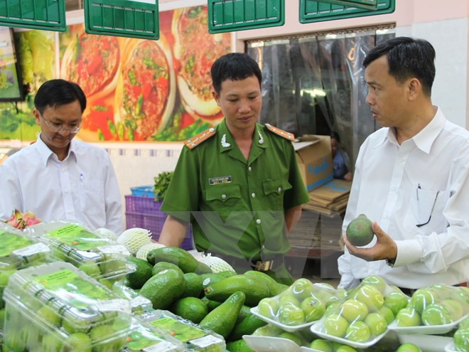 2017年越南APEC会议:广南省加大食品安全检查力度 ảnh 1 2017年越南APEC会议:广南省加大食品安全检查力度 ảnh 1
