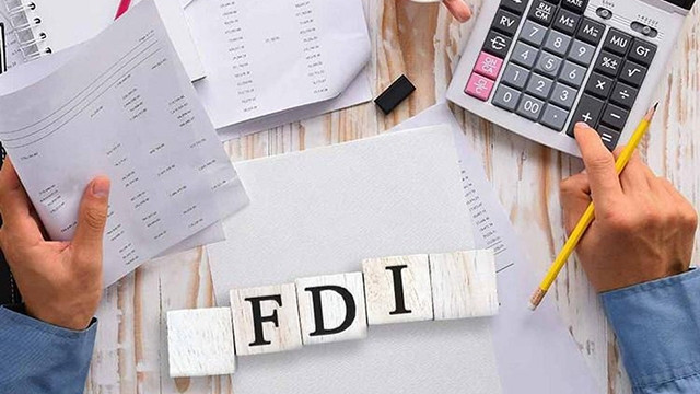 越南如何吸引外资 ảnh 1