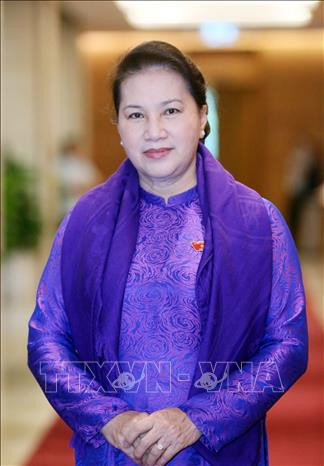 越南国会主席阮氏金银:共同携手保护东盟共同家园 ảnh 1 越南国会主席阮氏金银:共同携手保护东盟共同家园 ảnh 1