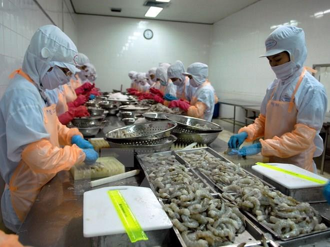 越南虾类产品对中国出口恢复增长 ảnh 1 越南虾类产品对中国出口恢复增长 ảnh 1