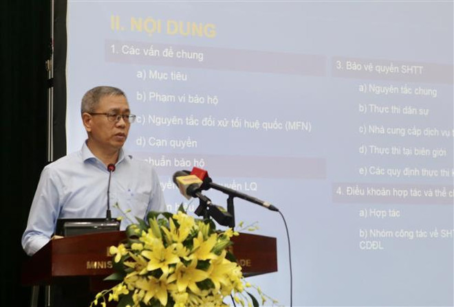 越南认真履行EVFTA中有关知识产权的承诺 ảnh 4