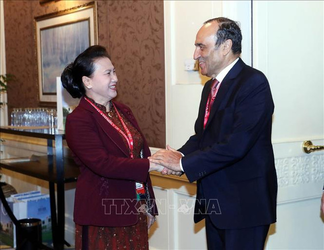 越南国会主席阮氏金银会见摩洛哥众议院议长哈比博•马勒克 ảnh 1