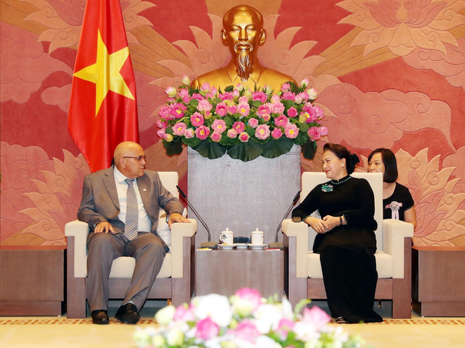 阮氏金银:越南一直以来是古巴的好同志、好朋友和好兄弟 ảnh 1 阮氏金银:越南一直以来是古巴的好同志、好朋友和好兄弟 ảnh 1