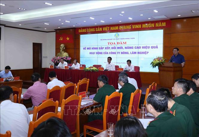 到2020年越南基本完成农林业公司的重组工作 ảnh 2 到2020年越南基本完成农林业公司的重组工作 ảnh 2