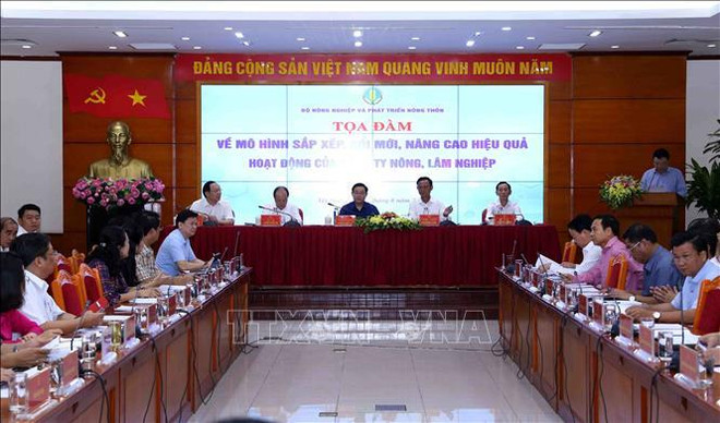 到2020年越南基本完成农林业公司的重组工作 ảnh 1 到2020年越南基本完成农林业公司的重组工作 ảnh 1
