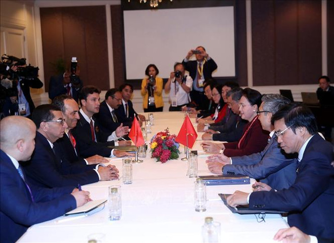 越南国会主席阮氏金银会见摩洛哥众议院议长哈比博•马勒克 ảnh 2