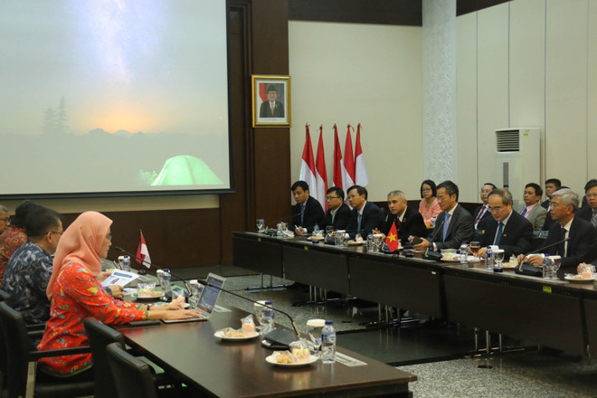 胡志明市希望与印尼加强在应对气候变化等方面的合作 ảnh 1