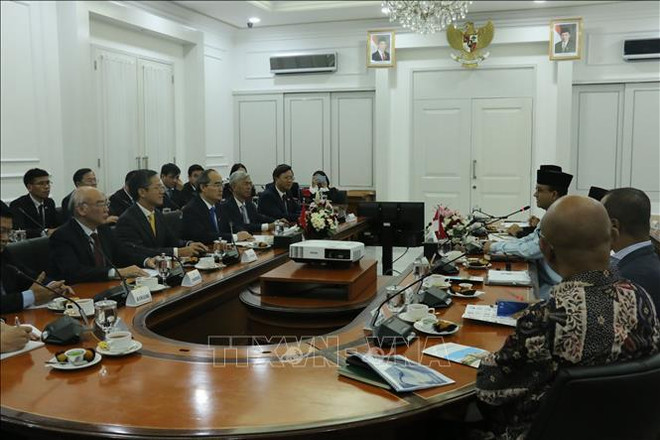 胡志明市促进与印度尼西亚各合作伙伴的全面合作 ảnh 2