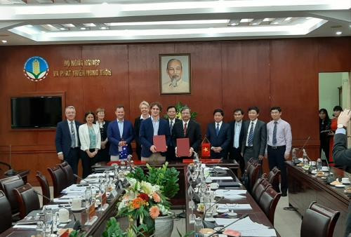 越南与澳大利亚促进农业合作 ảnh 1