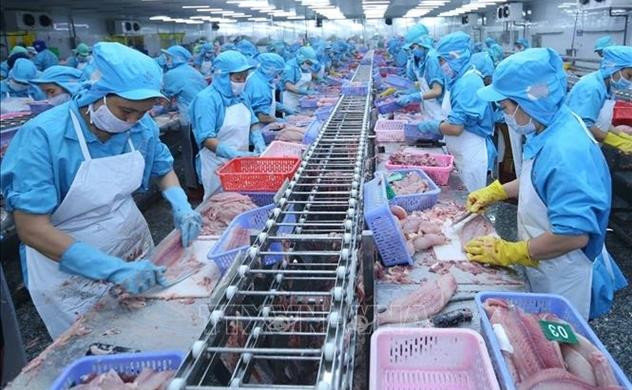 越南水产品对中国市场出口呈现激增态势 ảnh 1