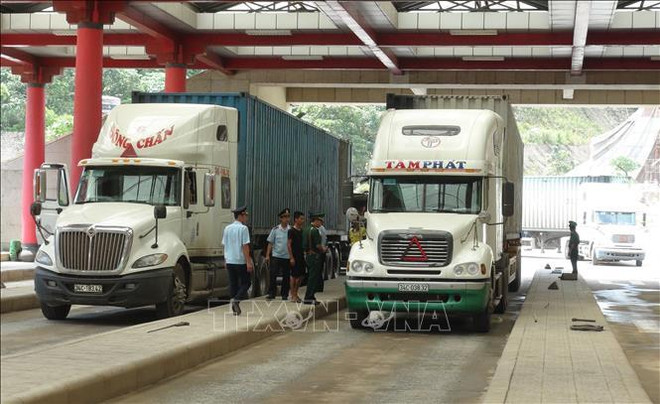 广平省査罗口岸进出口贸易额猛增 ảnh 1