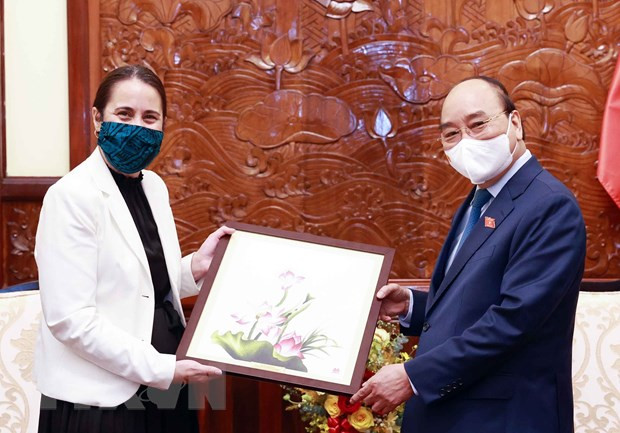 越南国家主席阮春福会见新西兰驻越大使多布森 ảnh 1 越南国家主席阮春福会见新西兰驻越大使多布森 ảnh 1