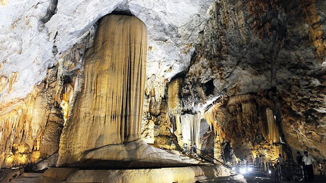 越南力争将生态旅游与生物多样性保护相结合 ảnh 1 越南力争将生态旅游与生物多样性保护相结合 ảnh 1