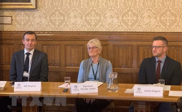 在竞争时代促进越英关系发展 ảnh 1