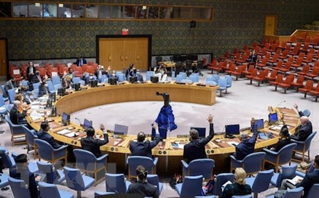 越南与联合国安理会：越南强调法律框架和民族团结在解决预防社交媒体上煽动仇恨暴力的作用 ảnh 1