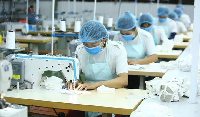 越南首次发布关于性别平等的综合报告 ảnh 2 越南首次发布关于性别平等的综合报告 ảnh 2