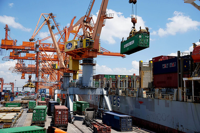 数字化转型是物流企业的救生圈 ảnh 1