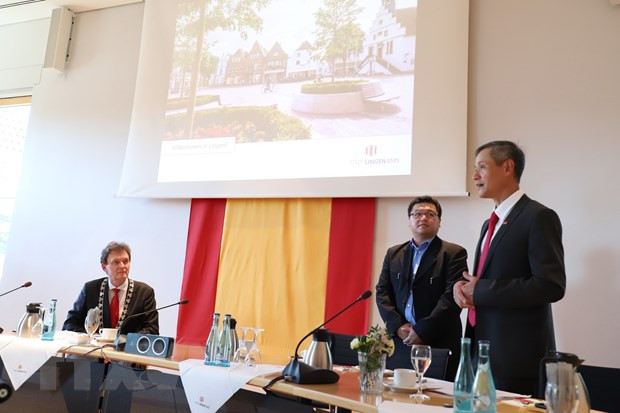 越南与德国促进护理领域合作 ảnh 1