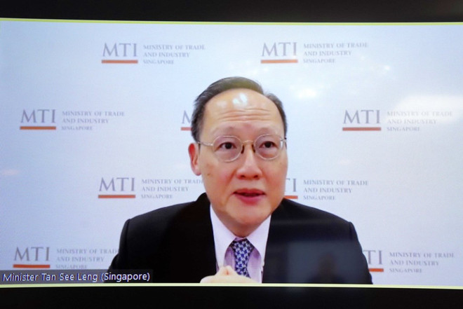 充分利用各项自贸协定的优势来促进越南与新加坡合作 ảnh 2