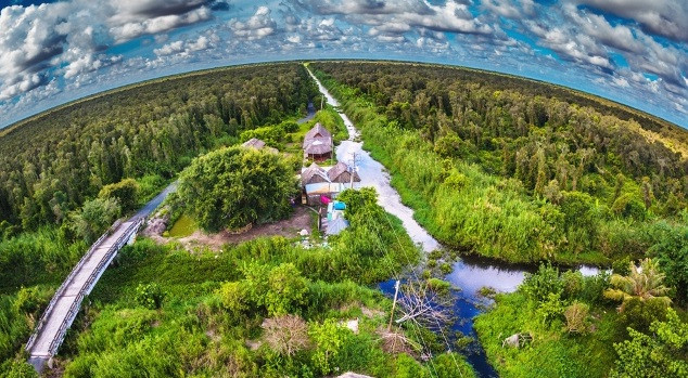 越南西原地区和中部以南沿海地区投资总额3000万美元的应对气候变化项目正式启动 ảnh 1 越南西原地区和中部以南沿海地区投资总额3000万美元的应对气候变化项目正式启动 ảnh 1