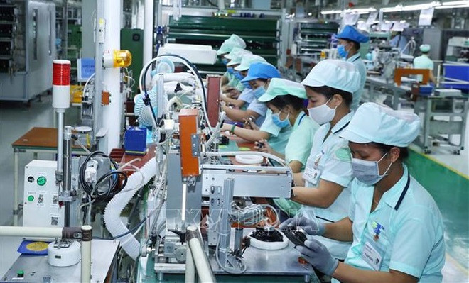 旅外越南青年——越南创新事业中的一块重要“拼图” ảnh 1