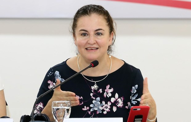 澳大利亚和联合国妇女署为遭受暴力的越南妇女克服心理创伤能力提供协助 ảnh 1