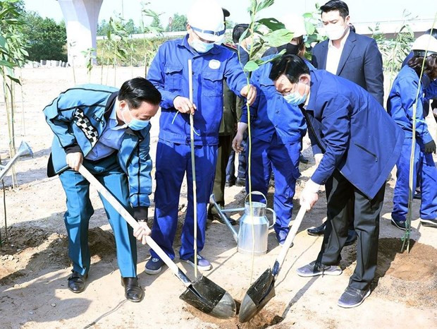 越南利用智能手机上4.0数字技术应用程序建立树图数据库 ảnh 2 越南利用智能手机上4.0数字技术应用程序建立树图数据库 ảnh 2