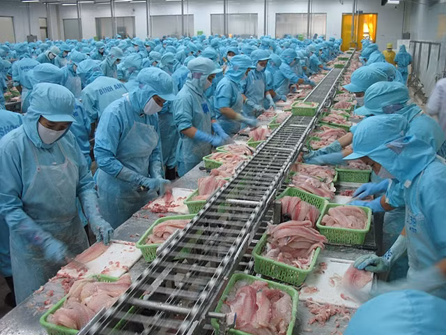 2021年越南水产品出口有望实现良好增长水平 ảnh 1