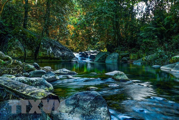 得农省是越南推荐给世界的新旅游目的地 ảnh 1 得农省是越南推荐给世界的新旅游目的地 ảnh 1
