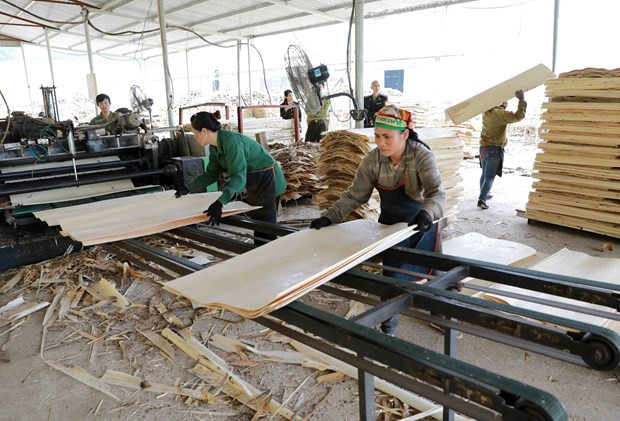 东盟发布关于区域劳动生产率的报告 ảnh 1 东盟发布关于区域劳动生产率的报告 ảnh 1