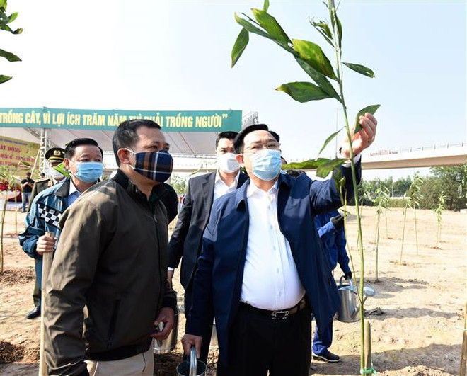 河内市启动2021辛丑年春季植树节活动 ảnh 1