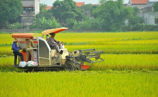认真贯彻落实越共中央书记处关于可持续减贫的指示 ảnh 1