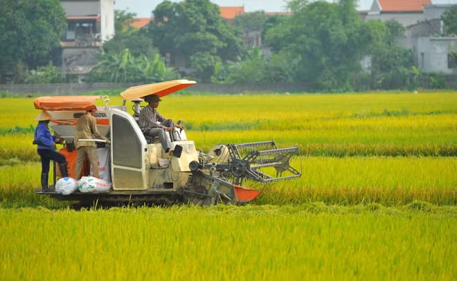 认真贯彻落实越共中央书记处关于可持续减贫的指示 ảnh 1 认真贯彻落实越共中央书记处关于可持续减贫的指示 ảnh 1