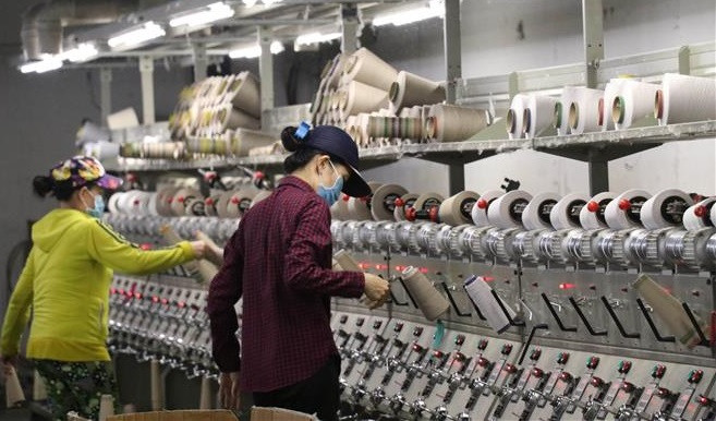 在越法国和意大利企业对越南政府的帮扶措施表示欢迎 ảnh 1