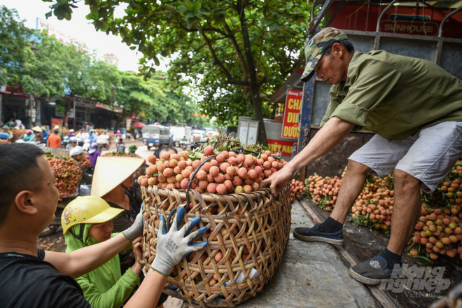 电子商务促进农产品销售 ảnh 1 电子商务促进农产品销售 ảnh 1