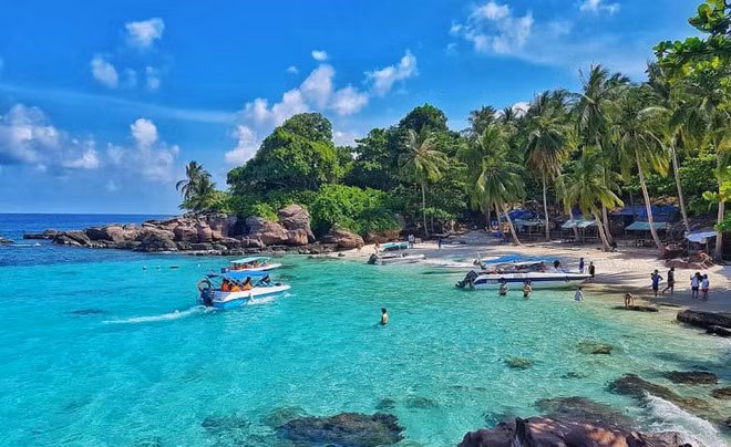 富国市为开门迎接国际游客制定详细计划 ảnh 1