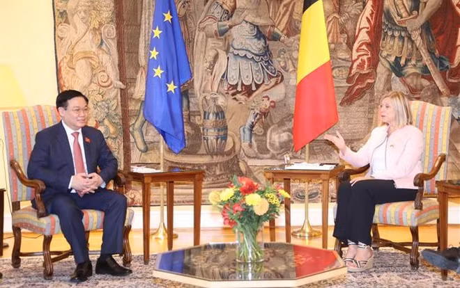 越南国会主席王廷惠与比利时众议院议长举行会谈 ảnh 1