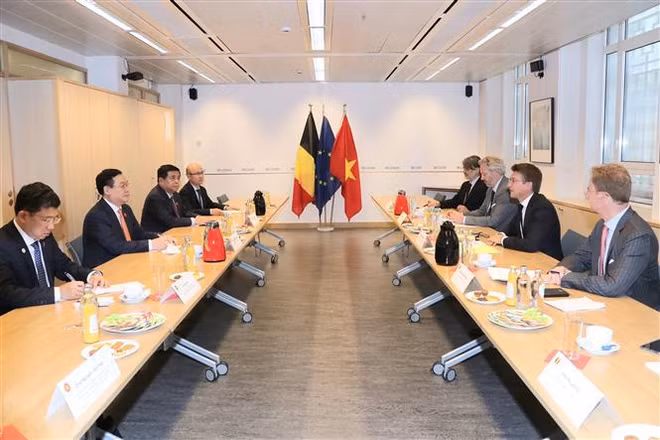 越南国会主席王廷惠会见比利时副首相 ảnh 2 越南国会主席王廷惠会见比利时副首相 ảnh 2