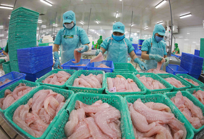 越通社评选2022年十大国内热点新闻 ảnh 1 越通社评选2022年十大国内热点新闻 ảnh 1