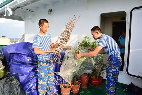 将春天的气息送到长沙群岛 ảnh 2 将春天的气息送到长沙群岛 ảnh 2