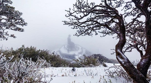 ☕️越通社新闻下午茶（2023.1.2） ảnh 3