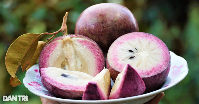 ☕️越通社新闻下午茶(2023.1.5) ảnh 3 ☕️越通社新闻下午茶(2023.1.5) ảnh 3