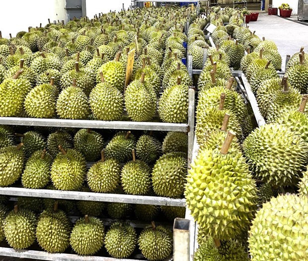 贸易、出口和投资成为越南经济增长的引擎 ảnh 1 贸易、出口和投资成为越南经济增长的引擎 ảnh 1